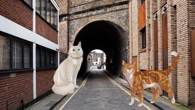 Image showing an alley between two buildings. Two large cartoonish cats appear on the path. This represents a hallucination which someone with CBS might experience